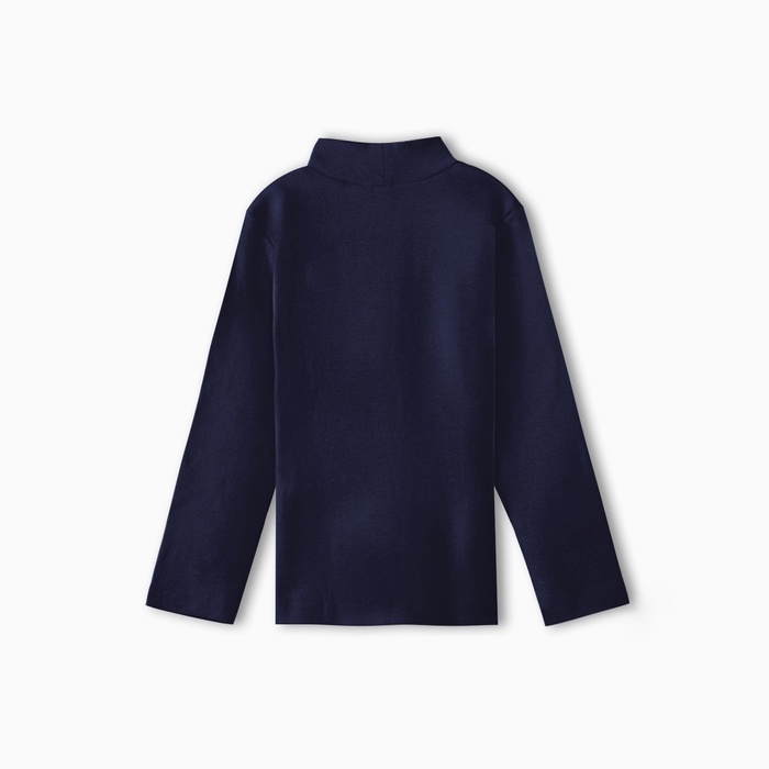 Водолазка для мальчика, цвет тёмно-синий, рост 116 см Водолазка для мальчика, цвет тёмно-синий, рост 116 см