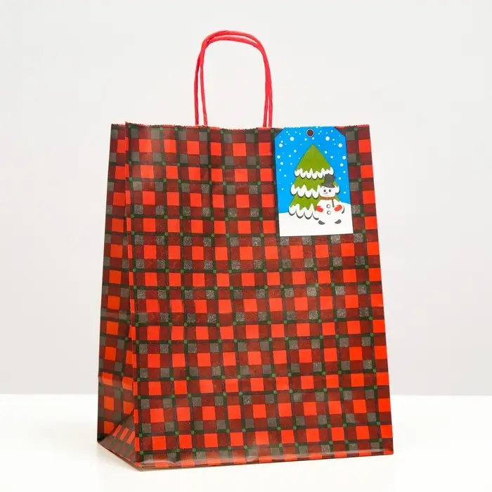 Пакет бумажный подарочный новогодний крафт &laquo;Красная клеточка&raquo; 22&times;12&times;27 см