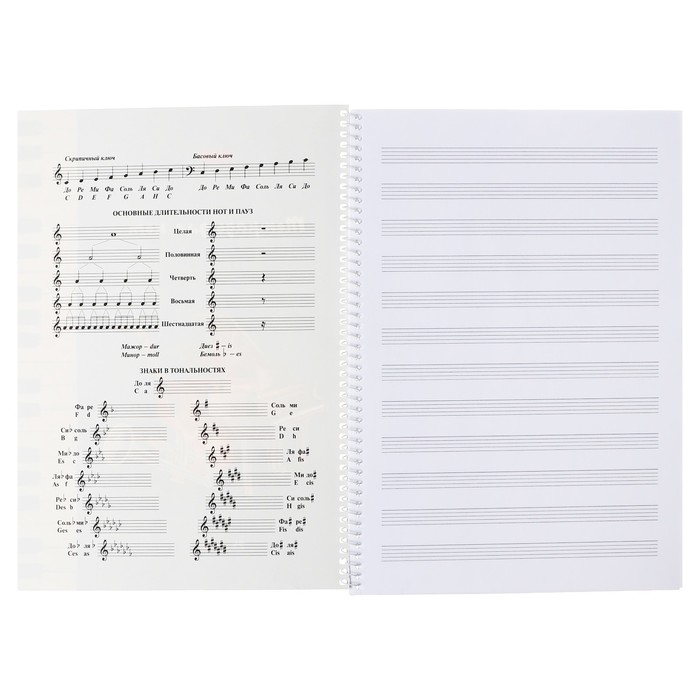 Тетрадь для нот А4 24 листа, на гребне "Музыка для души", обложка мелованный картон, справочная информация, блок 80 г/м2
