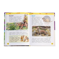 Детская энциклопедия "Дикие животные"