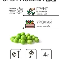Семена Горох "Динга", 4 г
