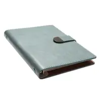 Органайзер на кольцах, C6, с хлястиком, 80л, линия, к/зам, Зеленый