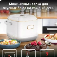 Мультиварка RK601132 Mini со сферической чашей и 7 режимами