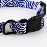 Ошейник &laquo;В гармонии с природой&raquo;, застёжка - фастекс, 2.5 см, 40-55 см