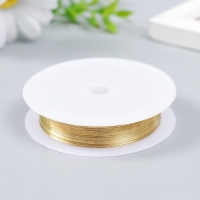 Проволока для творчества "Astra" 0,25 мм, 10 м, золото Проволока для творчества "Astra" 0,25 мм, 10 м, золото