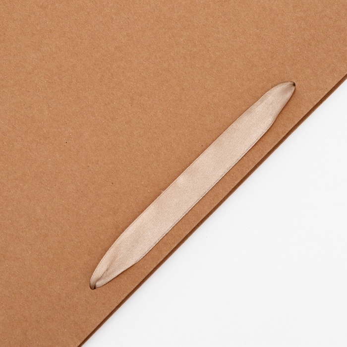 Пакет крафт без печати, 45 х 13 х 33 см 260 г/м2