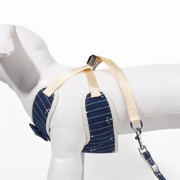 Комплект с мягкой шлейкой Комплект с мягкой шлейкой "Якорь", размер M, поводок, 120 х 1,5 см, ОГ 34-66 см, синий