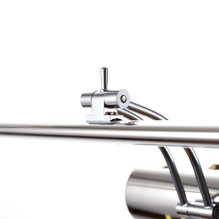 Светильник-подсветка "Лаго" LED 5Вт 6000K хром 40x15х6 см