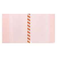 Набор обложек ПЭ 5 штук, 217 х 400 мм, 200 мкм, для дневников и проверочных работ, универсальная, с закладкой, МИКС Набор обложек ПЭ 5 штук, 217 х 400 мм, 200 мкм, для дневников и проверочных работ, универсальная, с закладкой, МИКС