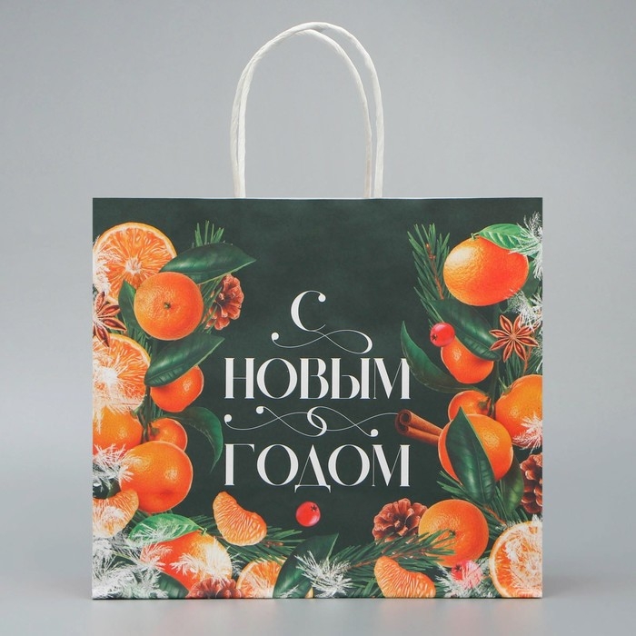 Пакет подарочный новогодний крафтовый &laquo;Новогодняя суета&raquo;, 25 х 22 х 12 см, Новый год