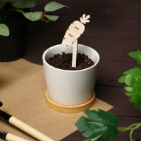 Таблички садовые для маркировки, 12 см, набор 8 шт., дерево, &laquo;Морковь&raquo;, Greengo