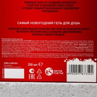 Подарочный набор косметики &laquo;С Новым Годом!&raquo;, гель для душа 250 мл и мочалка для тела, ЧИСТОЕ СЧАСТЬЕ
