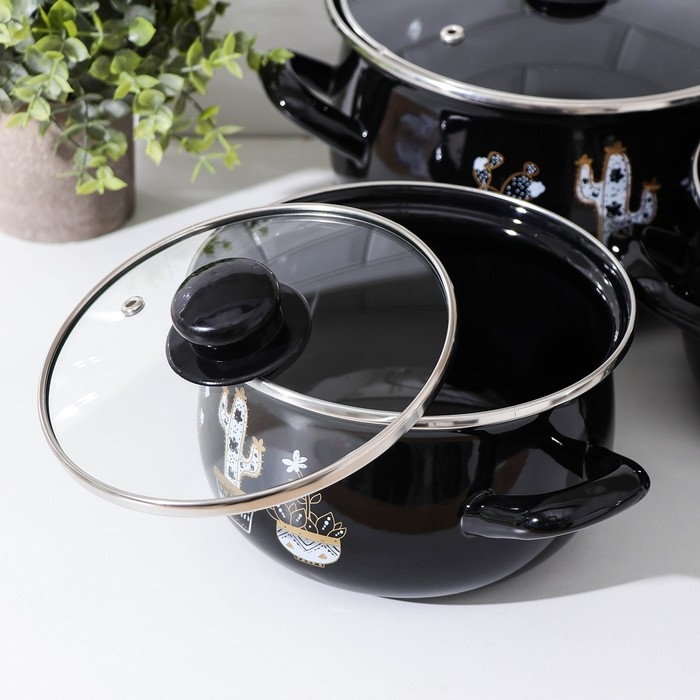 Набор кастрюль &laquo;Чёрные кактусы&raquo;, 3 предмета: 2,1 л, 3,1 л, 4 л, индукция