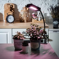 Фитосветильник светодиодный Uniel, 12 Вт, на прищепке, для фотосинтеза, IP40 Фитосветильник светодиодный Uniel, 12 Вт, на прищепке, для фотосинтеза, IP40