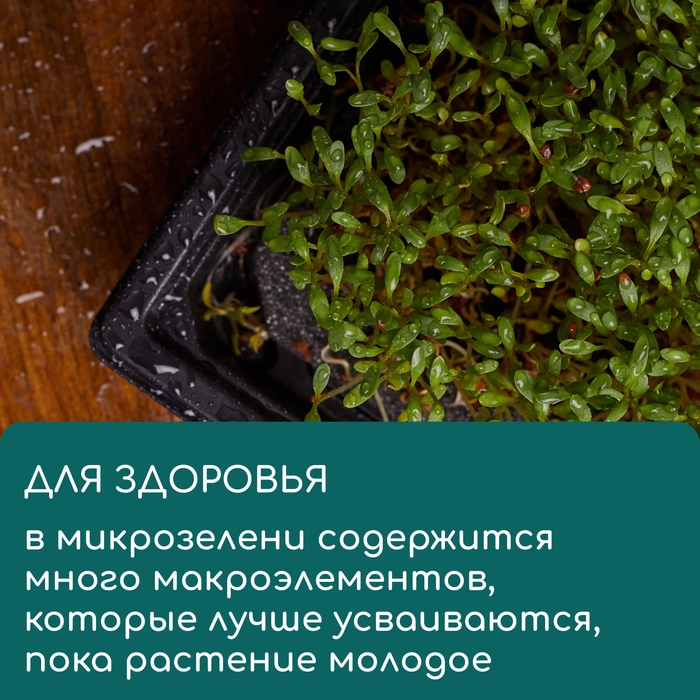 Коврик из кокосового волокна, для выращивания микрозелени, 50 &times; 25 см, Greengo