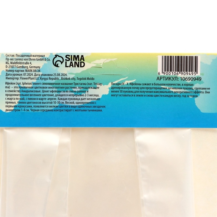 Ифейон Джесси, р-р 4/+, 10 шт, Осень 2024 Ифейон Джесси, р-р 4/+, 10 шт, Осень 2024