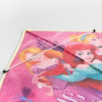 Воздушный змей &laquo;Мечтай&raquo;, Принцессы, 70 x 105 см