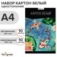 Картон белый А4, 20 листов: 10 листов мелованного плотность 200г/м2, 10 листов немелованного плотность 200 г/м2, в папке Картон белый А4, 20 листов: 10 листов мелованного плотность 200г/м2, 10 листов немелованного плотность 200 г/м2, в папке