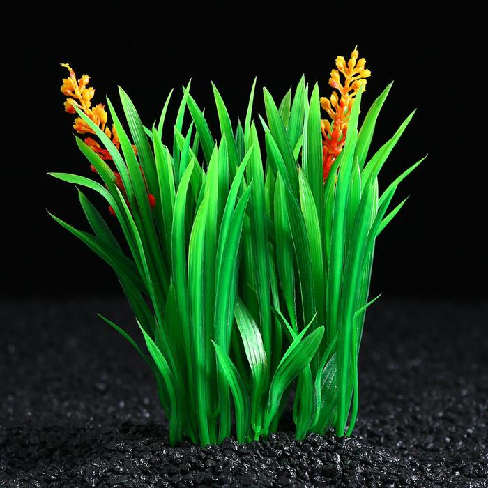 Растение искусственное Растение искусственное