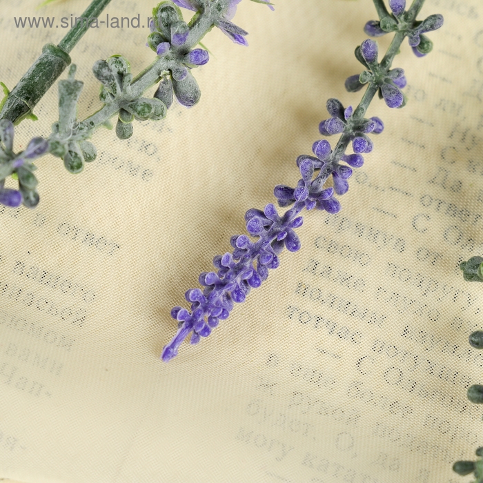 Букет Букет "Лаванда" 30 см