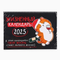 Календарь 2025 настенный, на спирали &laquo;Новый год: Жизненный&raquo;, 34 х 24 см