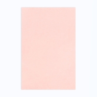 Матирующие салфетки &laquo;Девушка с кофе&raquo;, 100 шт