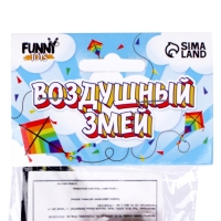 Воздушный змей &laquo;Сова&raquo;, с леской