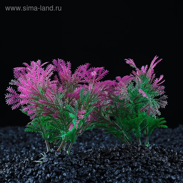 Набор растений искусственных для аквариума (2 шт), 10 см Набор растений искусственных для аквариума (2 шт), 10 см
