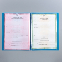 Папка для семейных документов "Котик" синий цвет, 4 комплекта документов, 19 карманов