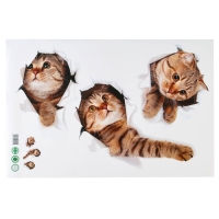 Наклейка интерьерная 3D "Три кошки" на стену, 60 х 40 см, влагостойкая, ПВХ Наклейка интерьерная 3D "Три кошки" на стену, 60 х 40 см, влагостойкая, ПВХ
