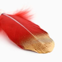 Родословная новогодняя книга с пером в шкатулке &laquo;Новый год: Любви, счастья и уюта&raquo;, 26 х 8 х 27 см, набор