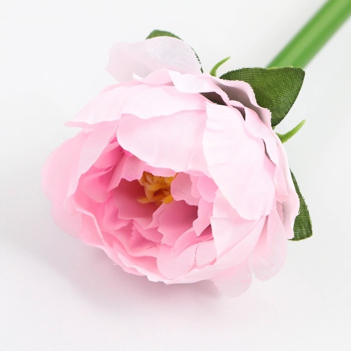 Подарочная ручка &laquo;Учителю: С Днём Учителя&raquo;, пластик, синяя паста, пишущий узел 1 мм