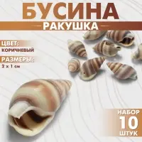 Бусины для творчества &laquo;Ракушка&raquo;, 2&times;1 см, завиток, набор 10 шт., коричневые