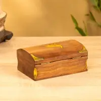 Шкатулка "Слон" 15,5х10х7 см, дерево шишам, латунь