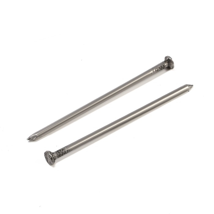 Гвозди ТУНДРА, строительные, ГОСТ 4028-63, без покрытия, 4&times;100 мм, 5 кг