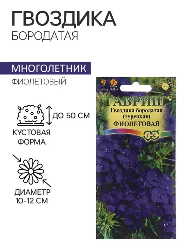 Семена гвоздика &laquo;Фиолетовая&raquo;, 0.1 г