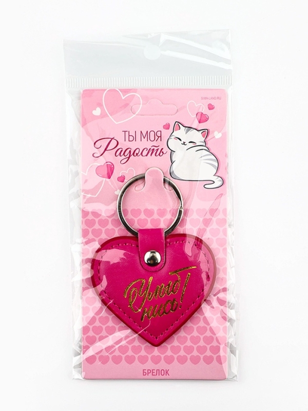 Брелок для ключей кожзам женский «Улыбнись», 6,1 х 9 см Брелок для ключей кожзам женский «Улыбнись», 6,1 х 9 см