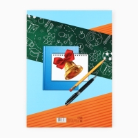 Папка на Выпускной «Выпускник», с 2-мя файлами, А4. Папка на Выпускной «Выпускник», с 2-мя файлами, А4.