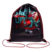 Мешок для обуви 490 х 410 мм, СДС-53, T-REX 2023