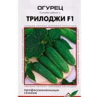 Семена Огурец Трилоджи F1 6 шт