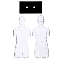 Набор для опытов &laquo;Строение тела&raquo;, беременная женщина