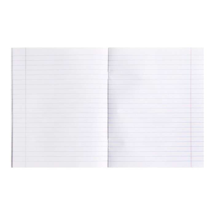 Комплект тетрадей из 5 штук, 48 листов в линию Calligrata "Кот", обложка мелованный картон, УФ-лак, блок офсет