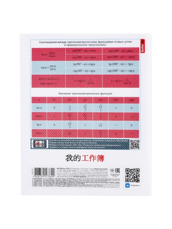 Тетрадь 48 листов в клетку &laquo;Искусство Азии&raquo; ГЕОМЕТРИЯ, пластиковая обложка с печатью, тиснение фольгой, с интерактивным справочником, блок оф...