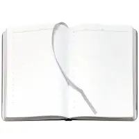 Ежедневник Frame Metal, недатированный, серый