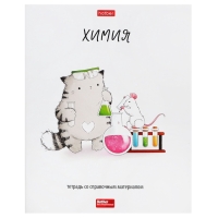 Комплект предметных тетрадей 48 листов, 12 предметов Hatber &laquo;Приключения кота Пирожка&raquo;, обложка мелованная бумага, с интерактивным справочником,...