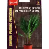 Семена цветов Вашингтония Жасминовый Аромат нитчатая  5шт. 12.29 г.