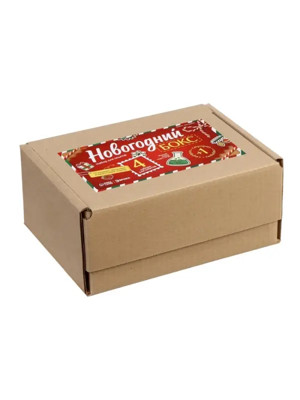 Набор для опытов &laquo;Новогодний бокс&raquo;, 4 набора для опытов, 1 сюрприз