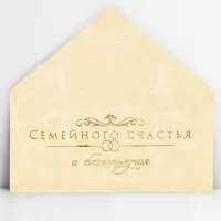 Конверт для денег &laquo;Семейного счастья&raquo;, тиснение, 16.5 х 8 см