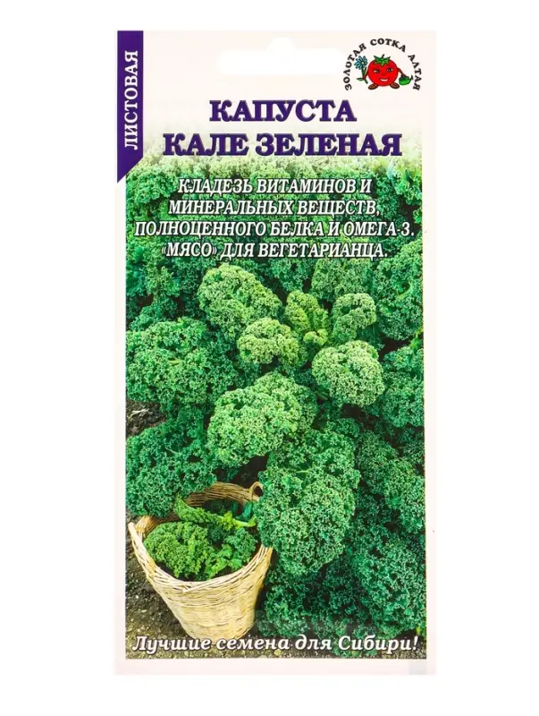 Семена Капуста Кале зелёная листовая /Сотка/ 0,3г/ выс. 60-80см/*1200