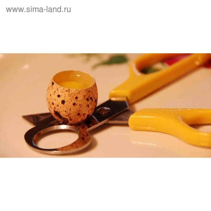 Ножницы для перепелиных яиц, 14 см, МИКС Ножницы для перепелиных яиц, 14 см, МИКС